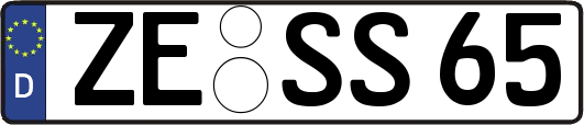ZE-SS65