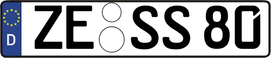 ZE-SS80