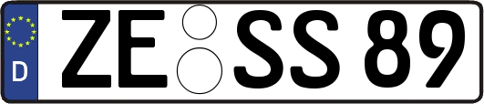 ZE-SS89
