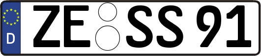 ZE-SS91