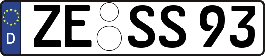 ZE-SS93