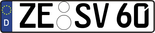 ZE-SV60