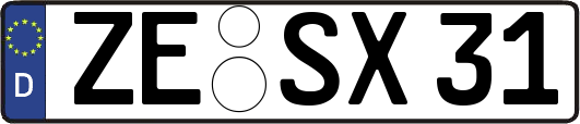 ZE-SX31