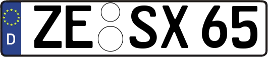 ZE-SX65