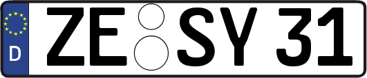 ZE-SY31