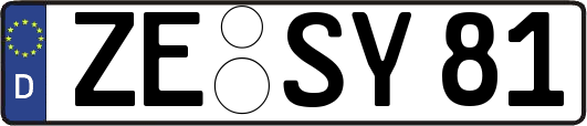 ZE-SY81