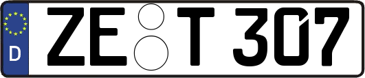 ZE-T307