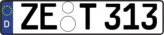 ZE-T313