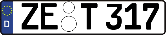 ZE-T317
