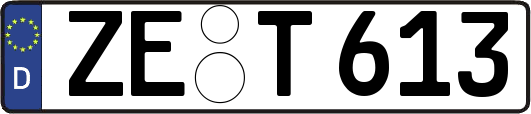 ZE-T613