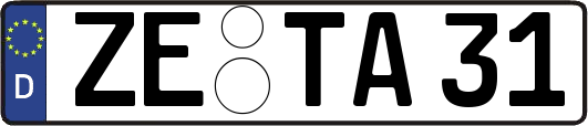 ZE-TA31