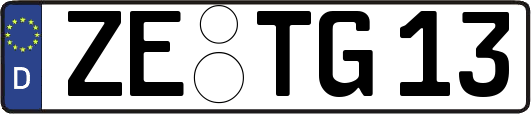 ZE-TG13