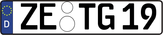 ZE-TG19
