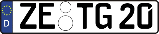 ZE-TG20