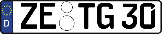 ZE-TG30
