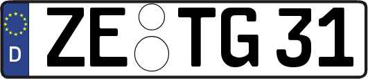 ZE-TG31