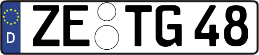 ZE-TG48