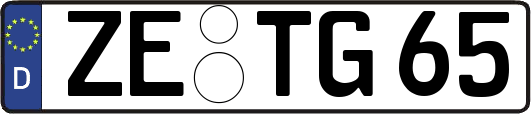 ZE-TG65