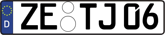ZE-TJ06