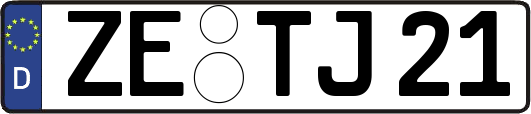 ZE-TJ21