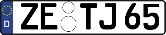 ZE-TJ65