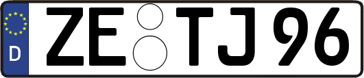 ZE-TJ96