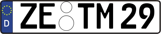 ZE-TM29