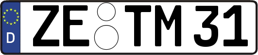ZE-TM31