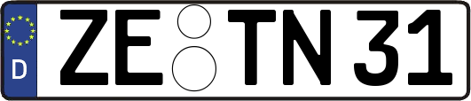 ZE-TN31