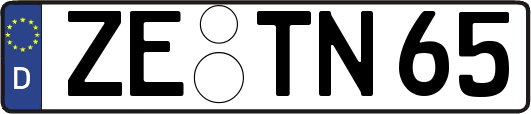 ZE-TN65