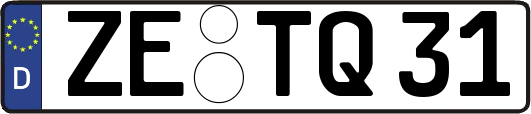 ZE-TQ31