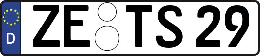 ZE-TS29
