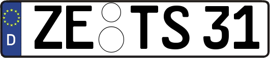 ZE-TS31