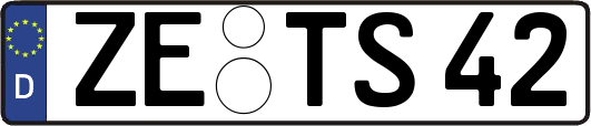 ZE-TS42