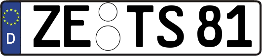 ZE-TS81