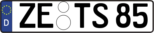 ZE-TS85