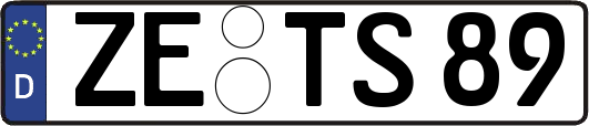 ZE-TS89