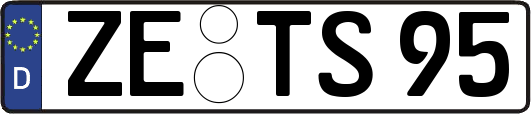ZE-TS95
