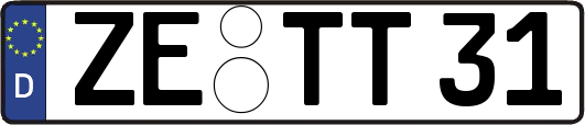ZE-TT31