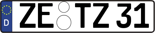 ZE-TZ31