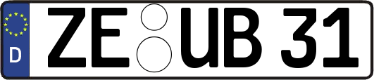 ZE-UB31
