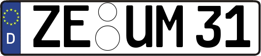 ZE-UM31