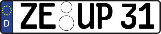ZE-UP31
