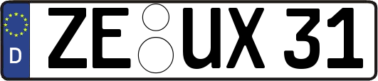 ZE-UX31