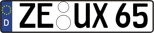 ZE-UX65