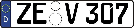 ZE-V307