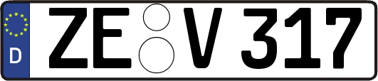 ZE-V317