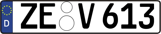 ZE-V613