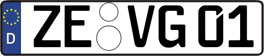 ZE-VG01