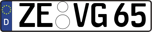 ZE-VG65